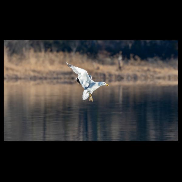 PHOTO84, CLUB, 84 , LUBERON